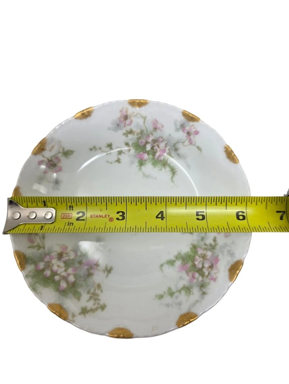 Haviland Limoges this set